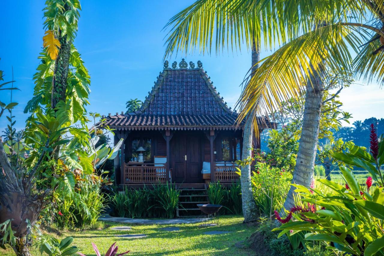Villa Neyang Убуд Экстерьер фото