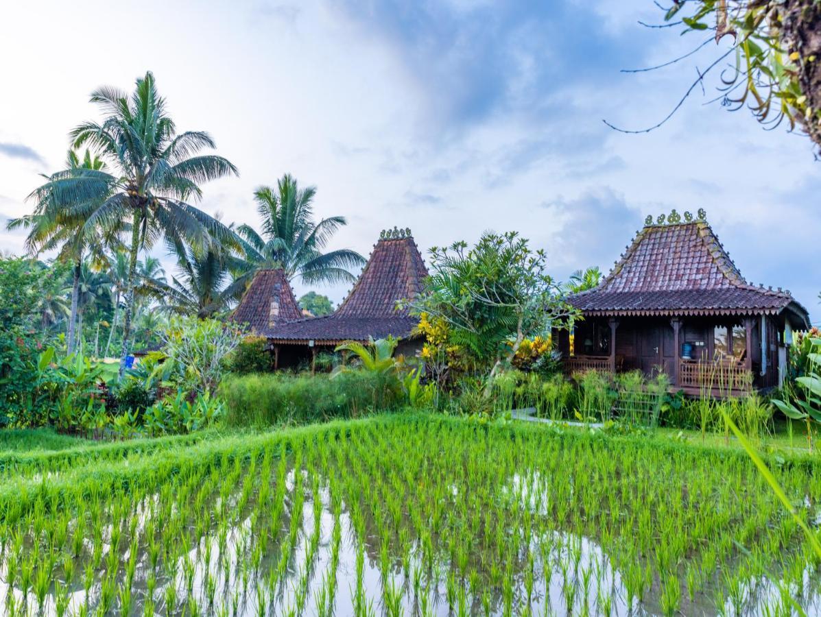 Villa Neyang Убуд Экстерьер фото