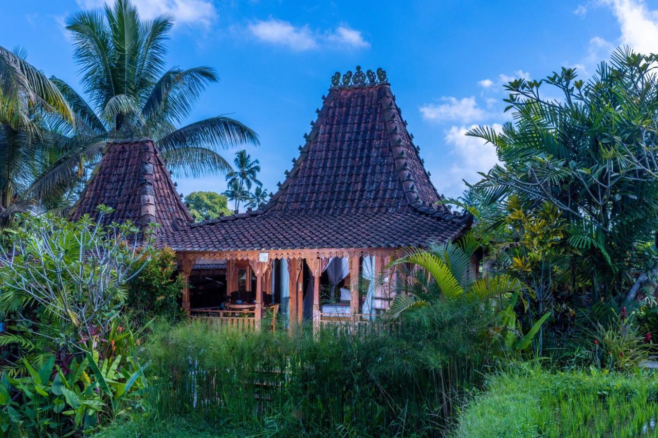 Villa Neyang Убуд Экстерьер фото
