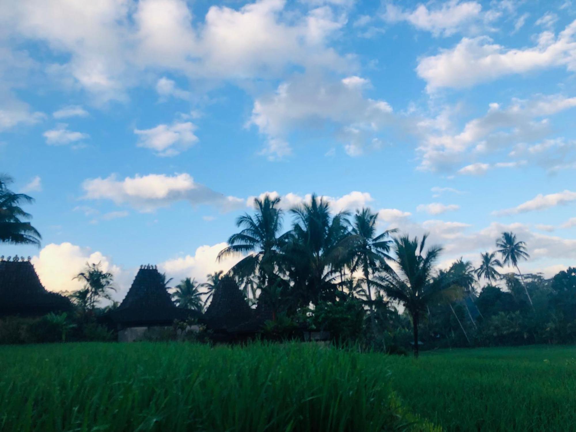 Villa Neyang Убуд Экстерьер фото