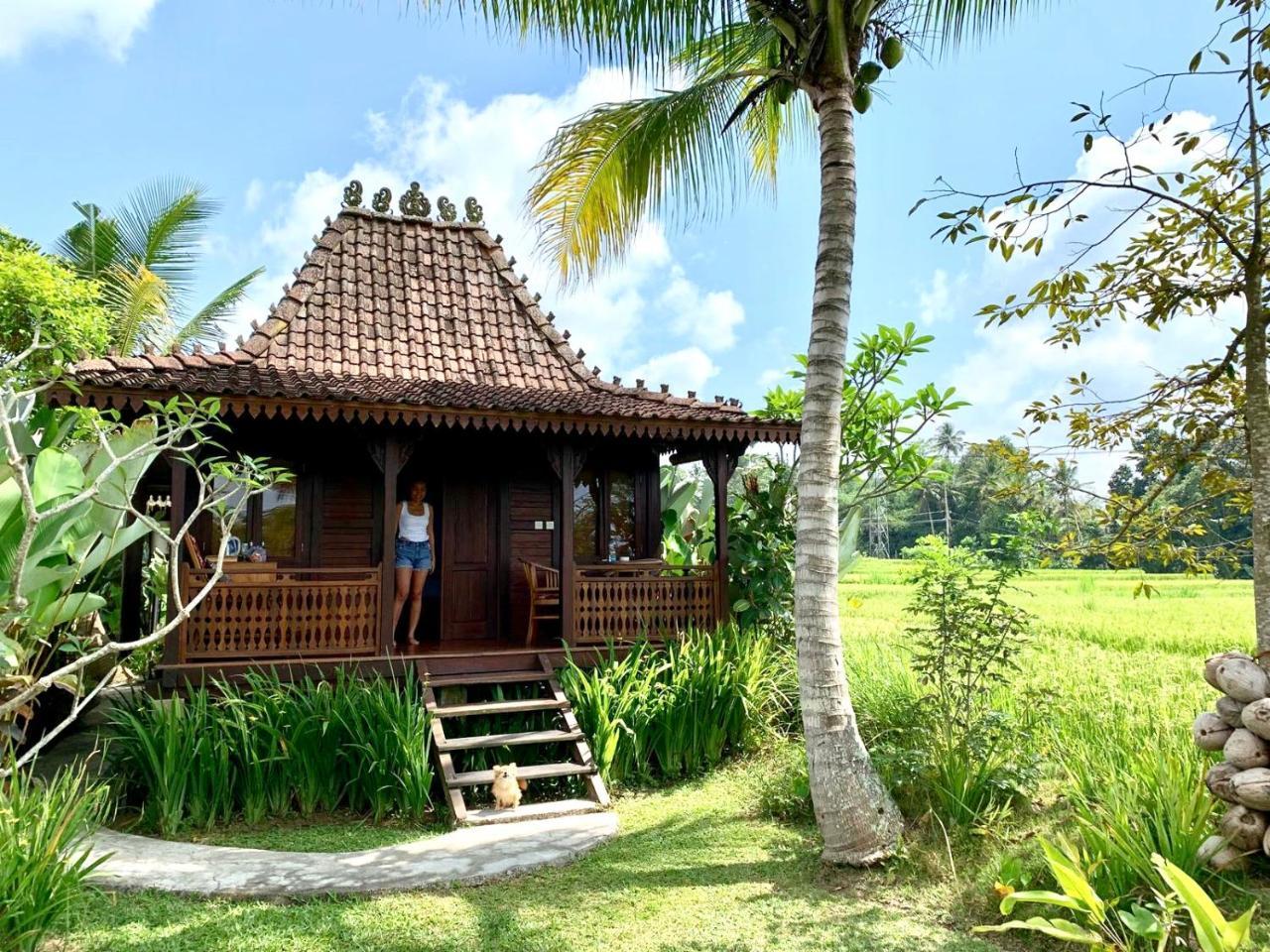 Villa Neyang Убуд Экстерьер фото